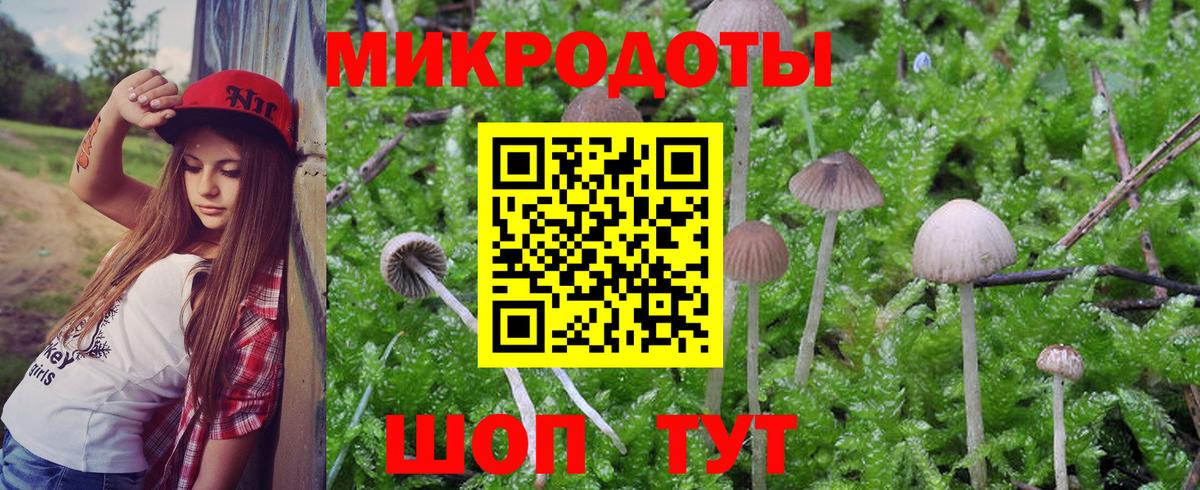 Галлюциногенные грибы ЛСД Тобольск