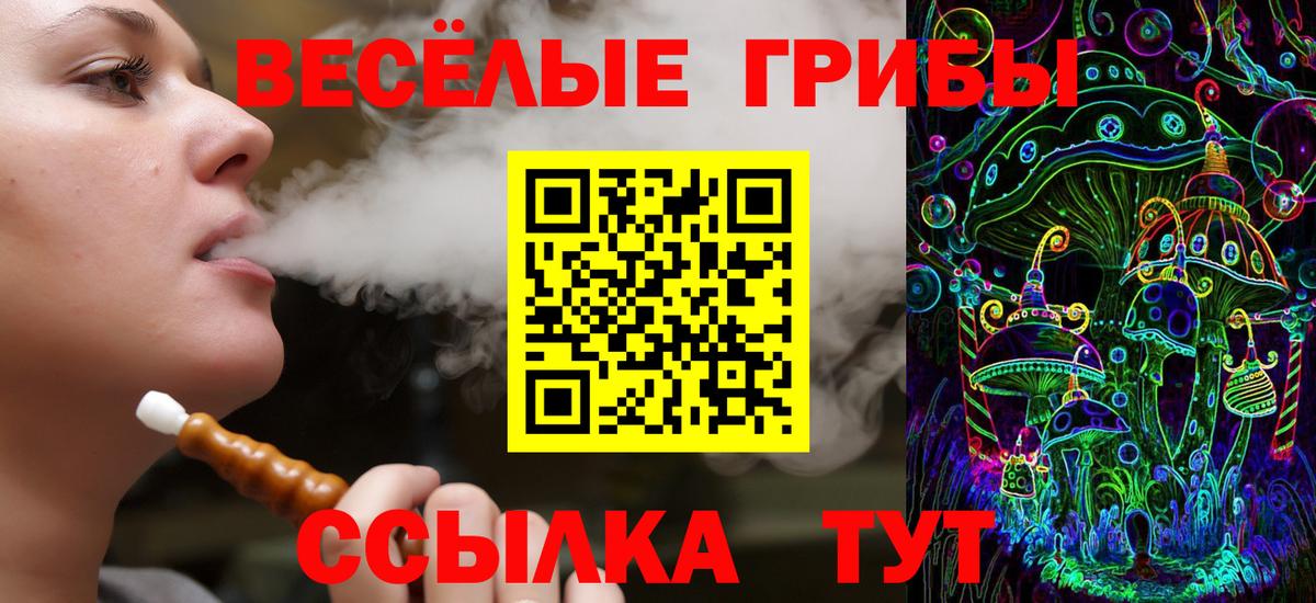 Тобольск  Псилоцибиновые грибы MAGIC MUSHROOMS  Вход с VPN 